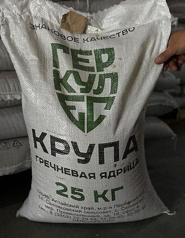 лузга гречихи: ОПТОВЫЕ ПРОДАЖИ ГРЕЧКИ Крупа «Геркулес» — гречневая ядрица - Тип — 3