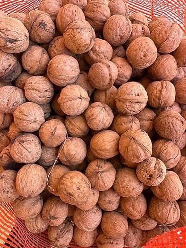 арбуз дарбыз: Грецкий орех в скорлупе - Крупный калибр, тонкая скорлупа, хорошо — 2