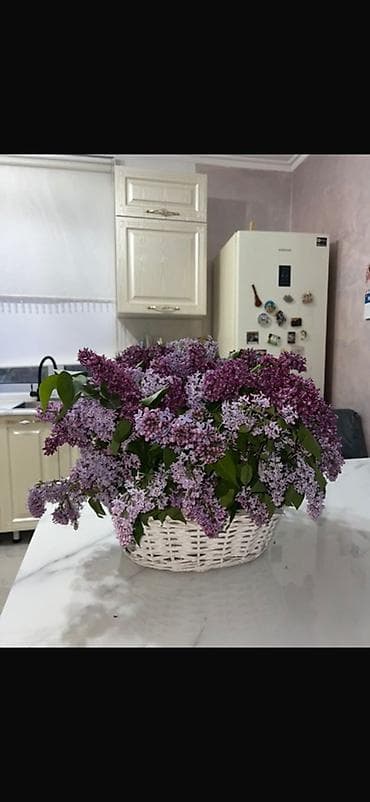 сирени: Большая композиция из сирени в плетёной корзине. - Сезонный букет из — 1