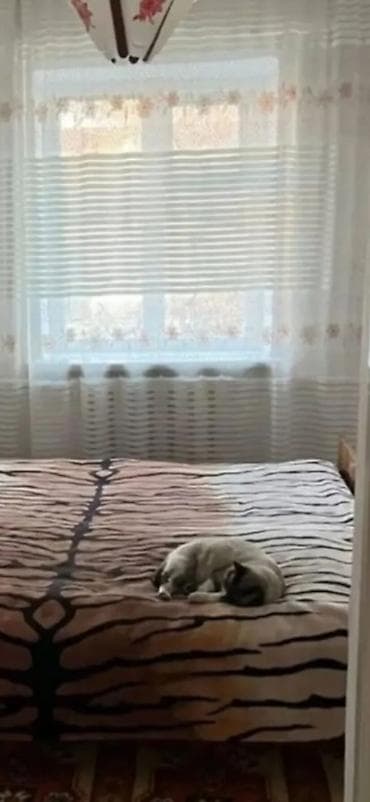65 м², 3 комнаты