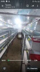 оборудование для кур несушек: Многоярусные клеточные батареи для содержания птицы — 4