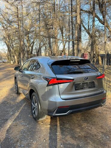 выкуп авто нексия: Lexus NX: 2018 г., 2.5 л, Вариатор, Бензиновая, Кроссовер — 4