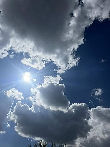 виндом 2005: Mercedes-Benz E-Class: 2005 г., 5 л, Автомат, Бензин, Седан — 9