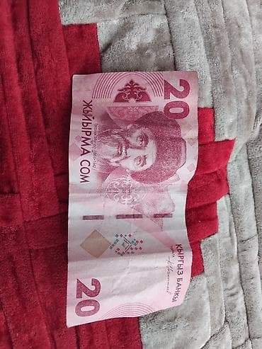 Банкнота 20 сомов Кыргызстана (жыйырма сом) - Номинал: 20 сом - — 2