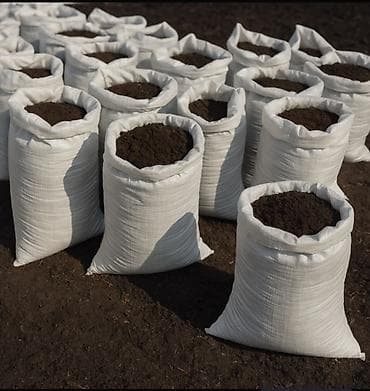 расада помидор: В мешках, Бесплатная доставка, Портер, Зил — 2