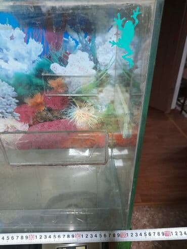 Продаю аквариум