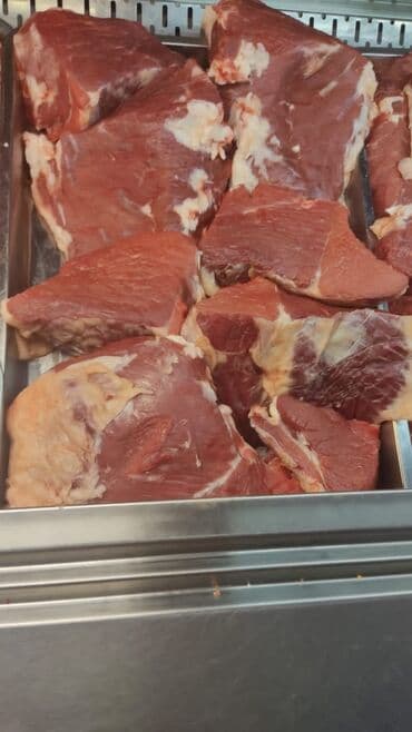 араба тачка: Птица — 6