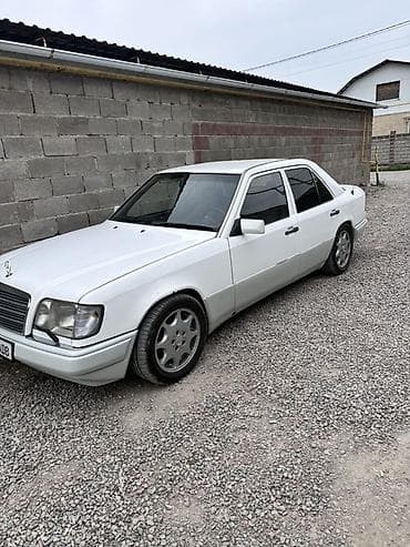 Mercedes-Benz W124: 1994 г., 2.2 л, Механика, Бензин, Седан