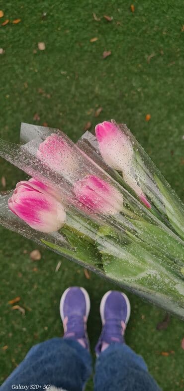 hr manager: Ассалямуалейкум Ищу для себя работу. Знаю Русский язык. Турецкий — 1