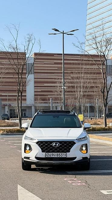 Hyundai Santa Fe: 2019 г., 2 л, Автомат, Бензин, Кроссовер