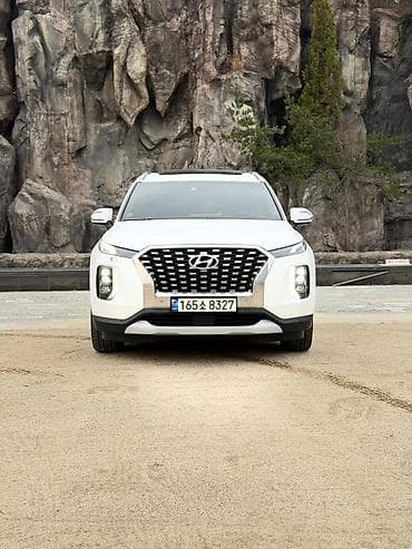 Продажа авто: Hyundai Palisade: 2019 г., Автомат, Кроссовер — 3