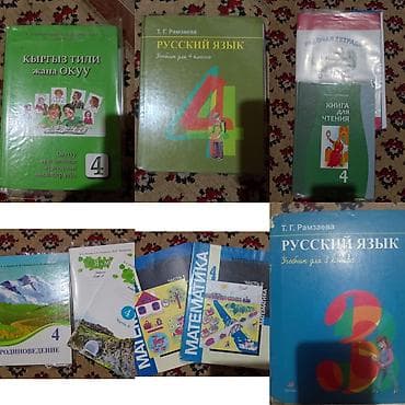 Учебники: Комплект школьных учебников и тетрадей (в основном для 4 класса, есть — 1