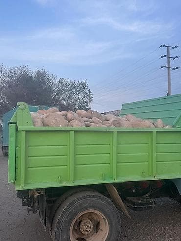 Бесплатная доставка at lalafo.kg Бесплатная доставка