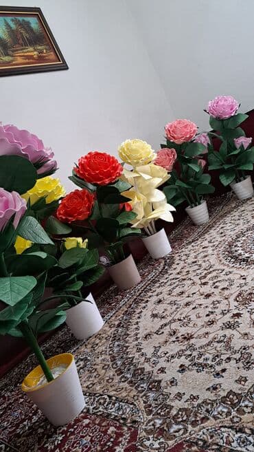 роза в горшке купить: Комнатные розы — 6