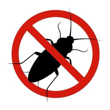 уничтожение клоп блох: Дезинфекция, дезинсекция, | Блохи, Вирусы, микробы, Клопы, | Дома, Кафе, магазины, Квартиры — 4