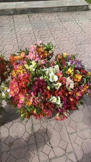 пишущая машина: Альстромерии местный свежий срез — 1