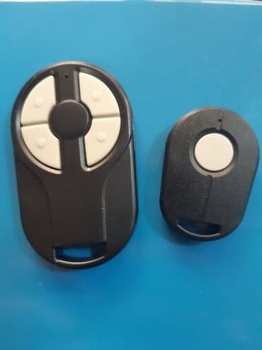 пульты для ворот и шлагбаумов: Пульты для ворот и шлагбаумов — 2