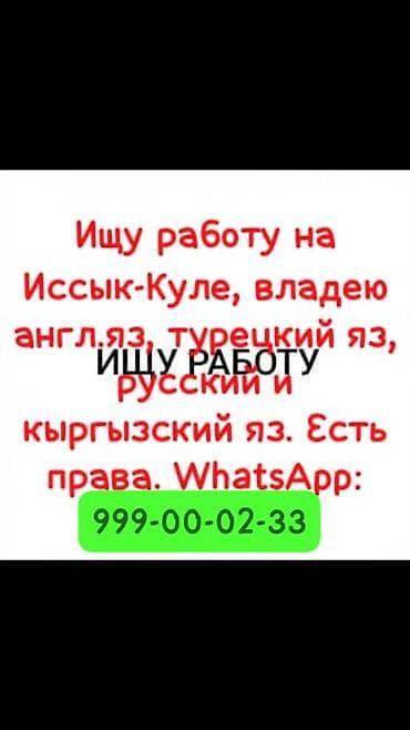 Ищу любую работу на Иссык-Куле