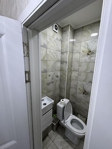 квартира айына бишкек: 2 бөлмө, Менчик ээси, Чогуу жашоосу жок, Толугу менен эмереги бар — 10