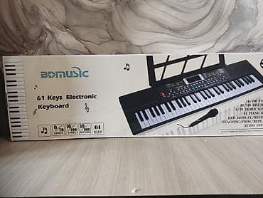 электронные машинки: Синтезатор BDMUSIC BD-601 (61 клавиша) Комплект: - клавишный — 2