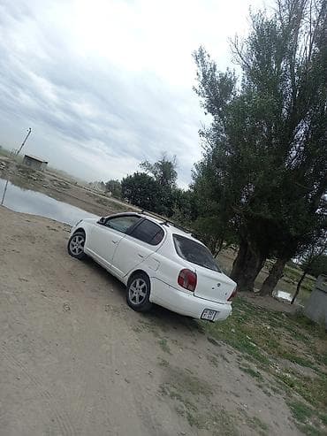 торпедо: Toyota Platz: 2001 г., Автомат, Бензин, Седан — 2
