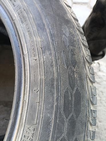 шина спринтера: Шины 225 / 60 / R 18, Лето, Dunlop — 1