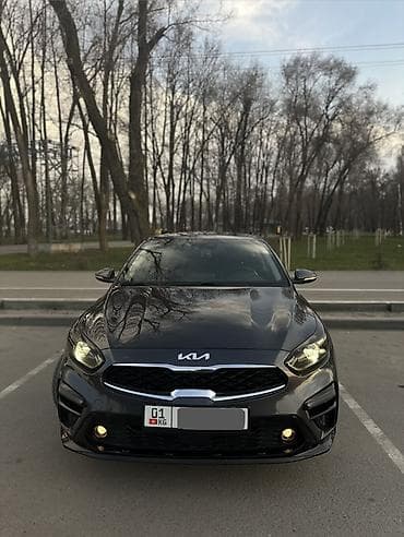 диски 17: Kia K3: 2019 г., 1.6 л, Автомат, Бензин, Седан — 10