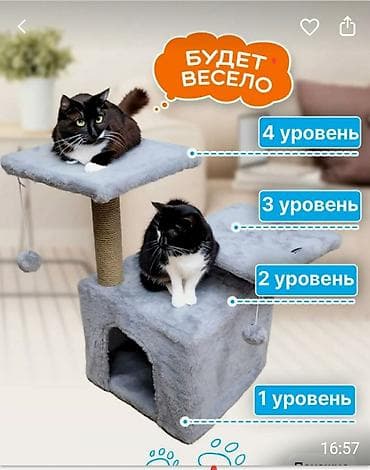 Зоотовары: Когтеточка с домиком ALDASAT После покупки почти не — 4