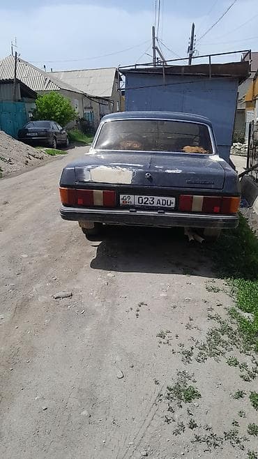 ГАЗ: ГАЗ 31029 Volga: 1994 г., 2.4 л, Механика, Бензин, Седан — 2
