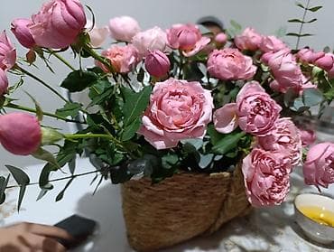 склад токмок: Таңгактагыч — 4