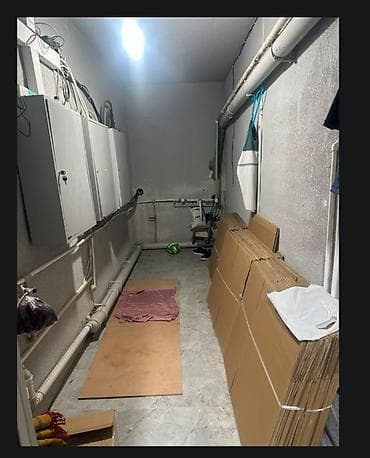 200: 3 комнаты, 200 м², Филармония Индивидуалка, Цокольный этаж этаж, Косметический ремонт — 10