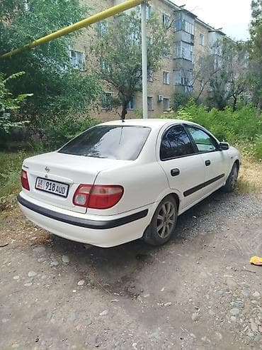тоета альфарт: Nissan Almera: 2001 г., 1.8 л, Автомат, Газ, Седан — 3