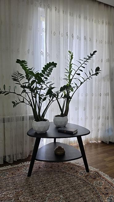 Квартиры: 2 комнаты, 53 м², Ак-Кеме (старый аэропорт) Элитка, 5 этаж, Евроремонт — 5