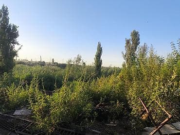 ферма центр: Коровник/скотный двор с крытыми загонами и подъездом - Капитальные — 5