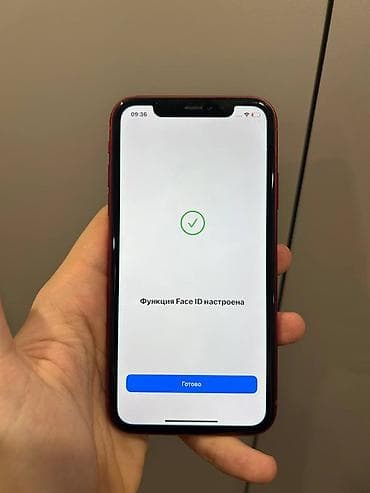 apple pen: IPhone 11, цвет (PRODUCT)RED - Экран 6.1" Liquid Retina (LCD), True — 1