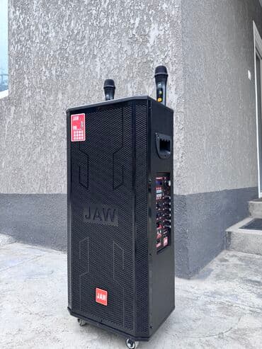 акустические системы jiteng колонка сумка: Колонки в аренду. Аренда колонок. Портативная акустическая система JAW — 2