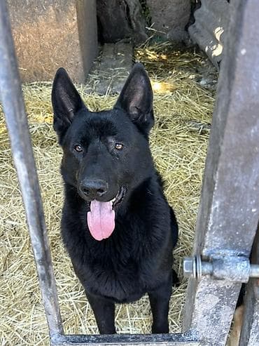 с мыкан: ВЯЗКА! Не продажа. Всем доброго времени суток друзья, предоставляю к — 5