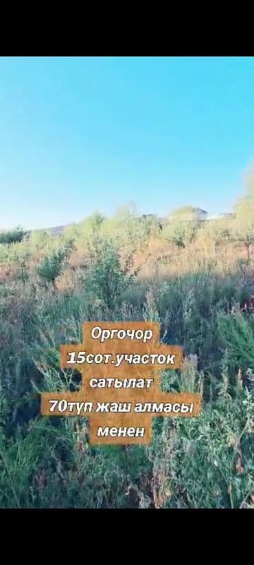 15 соток, Для строительства, Красная книга at lalafo.kg 15 соток, Для строительства, Красная книга