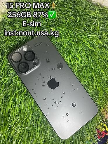 iphone 22: IPhone 15 Pro Max, Б/у, 256 ГБ, Black Titanium, Защитное стекло, Чехол, 88 % — 1