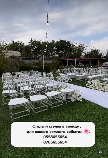 Столы и стулья в аренду/ Выездные банкеты. Доставка по городу от 1500