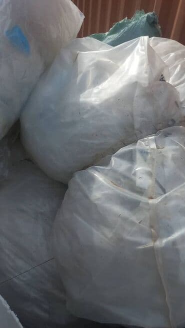 пластик буу: Пластик кабыл алуу — 12