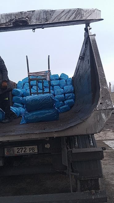 узи аппарат для животных: 25 кг ВЕС,С погрузкой +УПАКОВКИ,КУКУРУЗНЫЙ СИЛОС В ВАКУУМНОЙ — 7