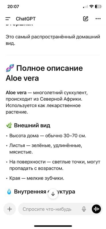 тренажер для похудения: Продается Алоэ лечебное Высажен на обогащенную почву через 1-2 года — 6