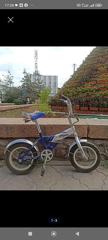 Детский велосипед, 2-колесный, 4 - 6 лет