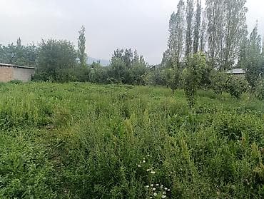 чон: 17 соток, Курулуш, Кызыл китеп — 3
