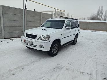 Hyundai Terracan: 2003 г., 2.9 л, Автомат, Дизель, Внедорожник
