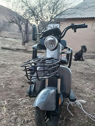 электро мото: Электрический трицикл «Vintage / Shine» - Компоновка: триколёсный — 1