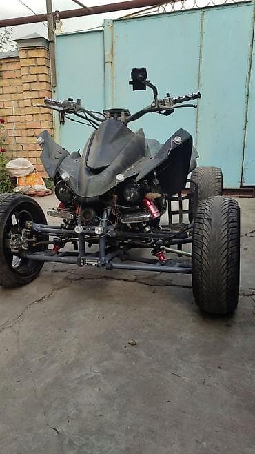 редуктор rx: Квадроцикл Бензин, 250 куб. см, Взрослый — 3