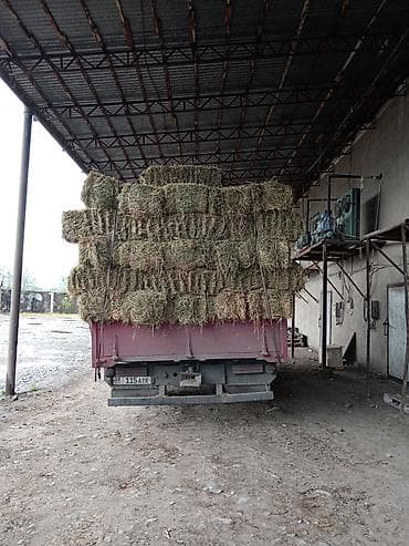 сена тюки: Сено в тюках клевер ☘️ ☘️☘️ цена 380 кипы) - Заготовка — 2