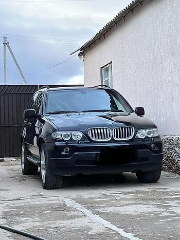 BMW: BMW X5: 2004 г., 4.4 л, Автомат, Бензин, Внедорожник — 1